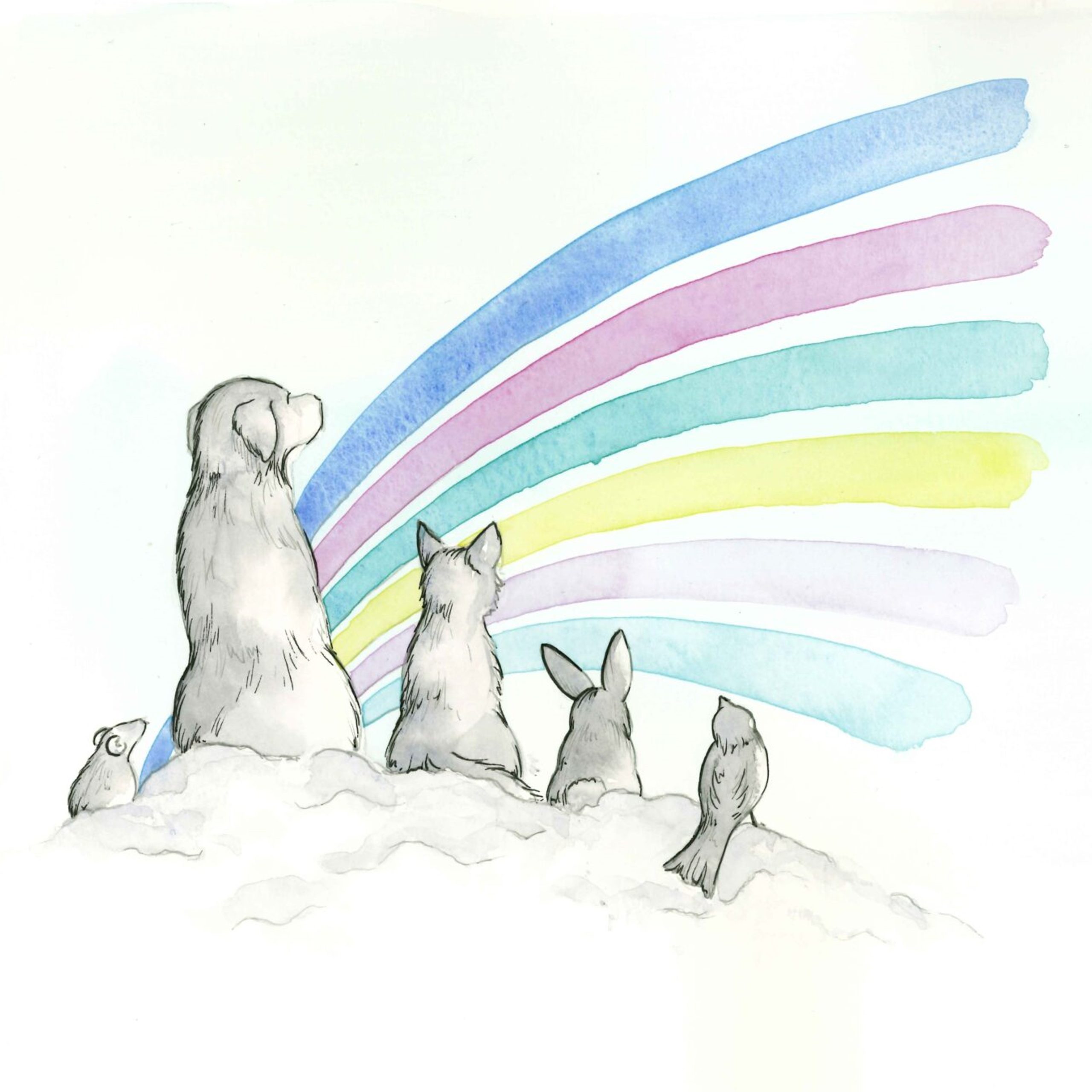 2026-01-20 09:38: Dog Spotted in Ohio Township, IN 47630