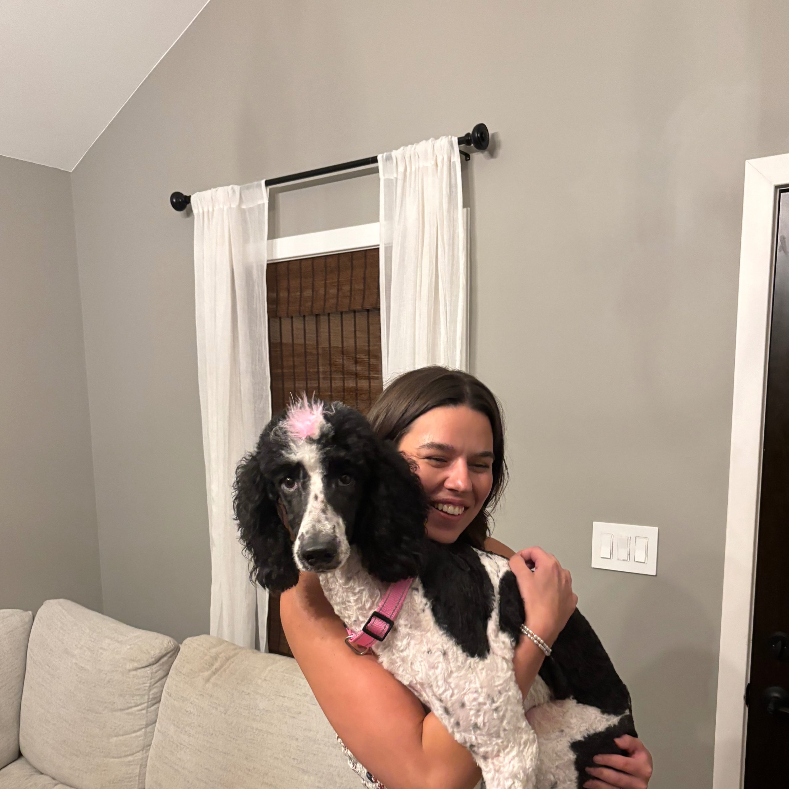 Image of Pet
