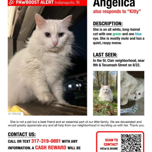 Image of Pet