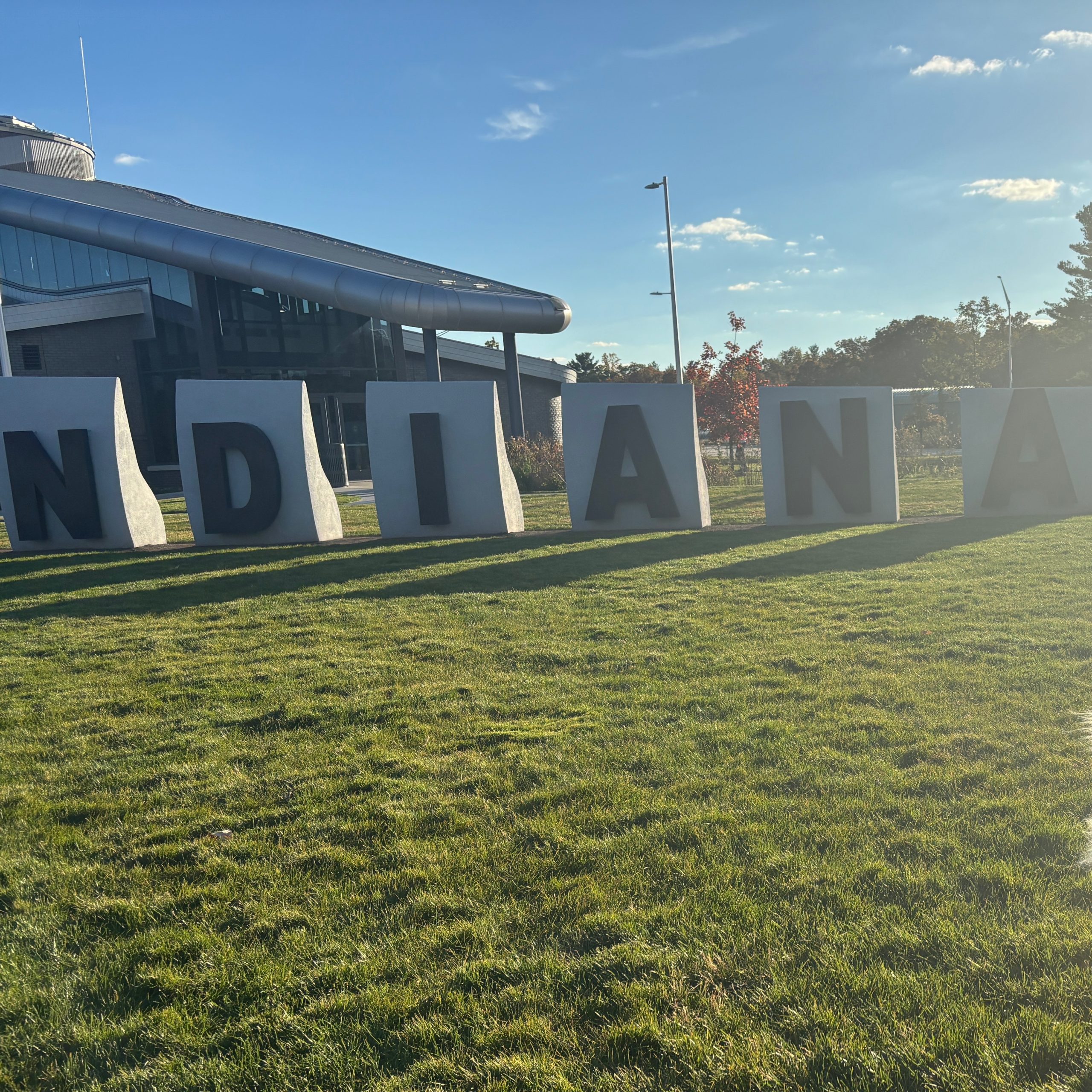 2025-11-03 17:14: Dog Caught in Indianapolis, IN 46204: Name Unknown