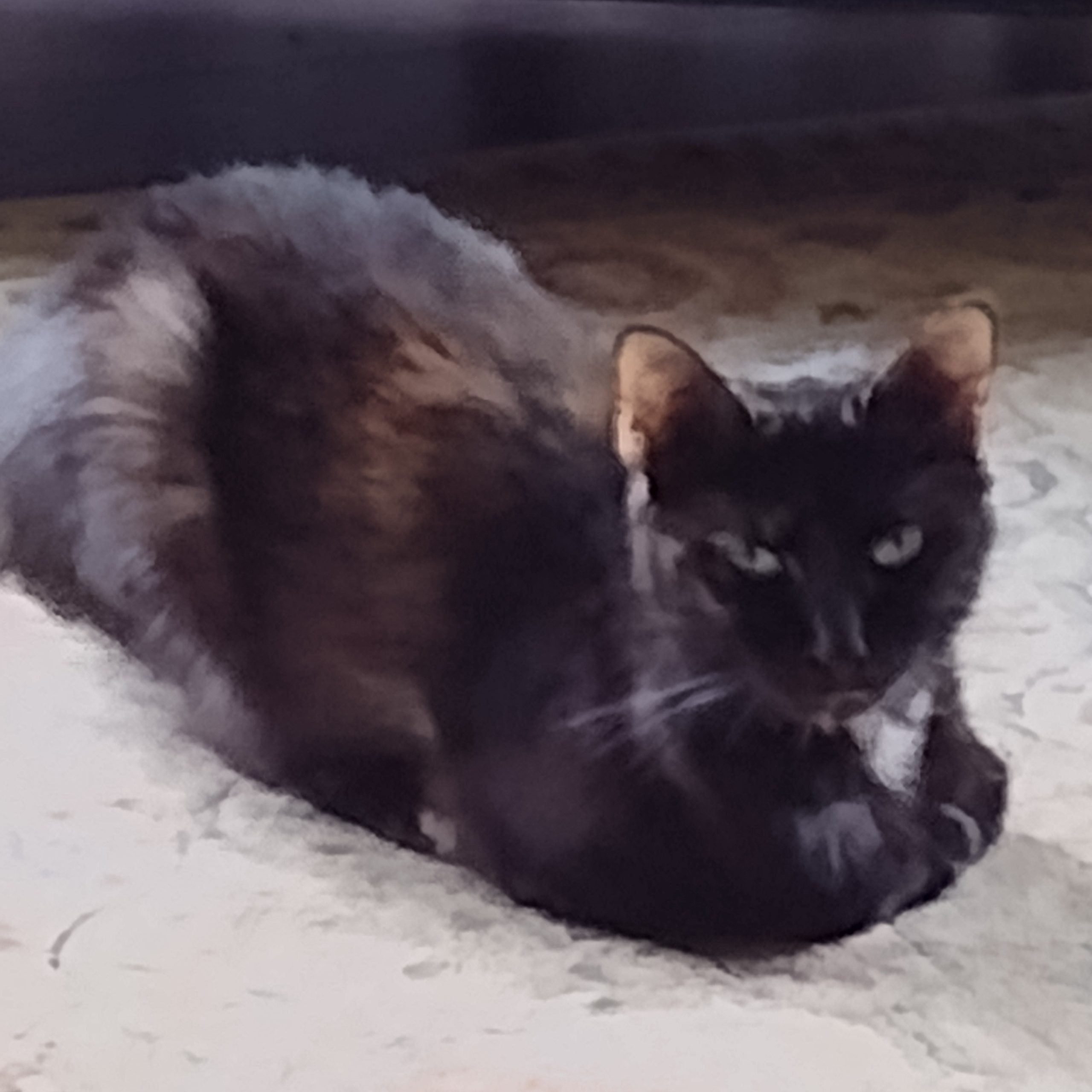 2026-04-30 16:34: Cat Caught in Marion, IN 46952: Name Unknown